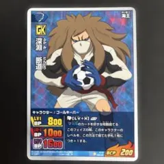イナズマイレブンGO TCG カード ヒラリ・フレイル - メルカリ