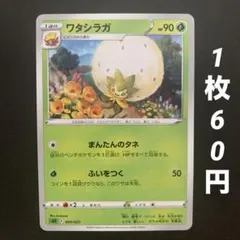 【残1枚】ワタシラガ まんたんのタネ ふいをつくのサムネイル