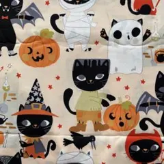 輸入生地　アレキサンダーヘンリー(Costume Kitty )Blush