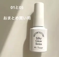 ネイルタウン マグネットネイル シルキーグロウ 05