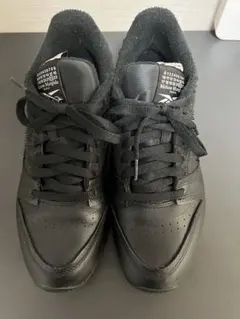 Item thumbnail for item 566db5ac-9b2b-454c-a69e-af569a092101