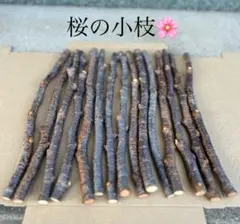 Item thumbnail for item 5feb6990-27b5-4399-adbb-9b6c43eb89b2