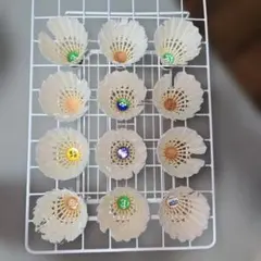 【ノック用】バドミントンシャトル 1ダース12個入り