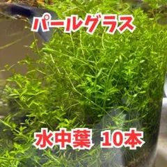 koichi taniguchi様 リクエスト 2点 まとめ商品