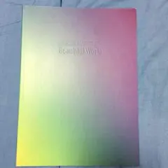 嵐 Beautiful World パンフレット