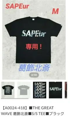 Item thumbnail for item baa86ea0-25e6-4566-84eb-3bff620b7777