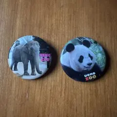 2025年最新】上野動物園 バッジの人気アイテム - メルカリ