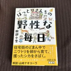 Item thumbnail for item 20cd373e-a8fd-4680-9335-510aa18c63ae