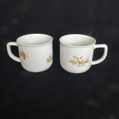 Item thumbnail for item 6fa2572a-a255-4db1-aa74-60377de75008