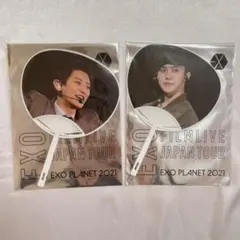 EXO ミニうちわ　チャニョル セフン セット
