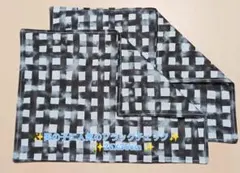 新品ランチョンマット2枚セット《No.B59》