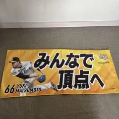 S*0様 ホークス タオル2枚 松本裕樹 海野隆司