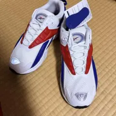 Reebok INTV 96 インターバル96 FX2149 26cmのサムネイル