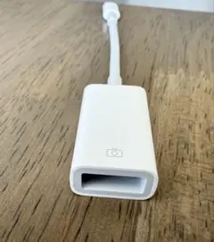 Apple正規 Lightning to USB