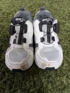 Item thumbnail for item 24fbbc01-d32f-443e-b2d8-4623e6e79056