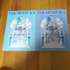 宝塚歌劇団 雪組 猛き黄金の国 パッサージュ パンフレット2冊セット