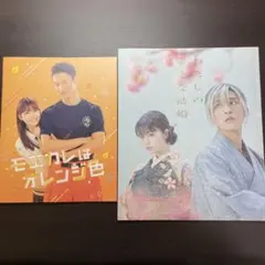 SnowMan モエカレはオレンジ色 わたしの幸せな結婚 パンフレット セット