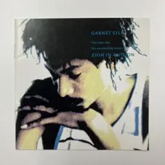 Garnet Silk Zion In A Vision レゲエ CD