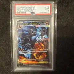 2025年最新】リザードンex SAR psa9の人気アイテム - メルカリ