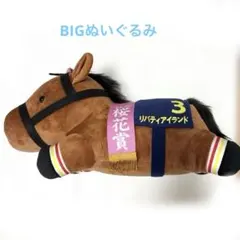 2025年最新】リバティアイランド 桜花賞の人気アイテム - メルカリ