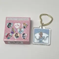 ディズニーストア / シークレットキーチェーン /シンデレラ