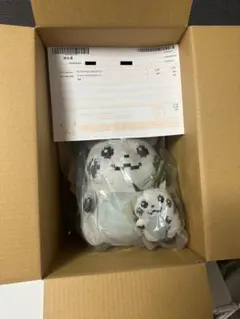 【2点セット】はじまりのピカチュウ ぬいぐるみ & マスコット