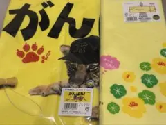 阪神タイガース タオル2点