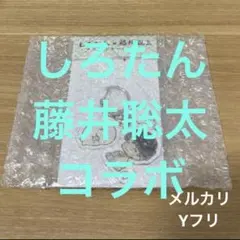 Item thumbnail for item e95e5d50-77ba-4d08-ae67-4f2bda3ed512