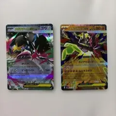 ポケモンカード メガクチートex & メガジガルデex