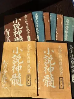 坪内雄蔵 小説神髄 全9冊揃 名著複刻全集 近代文学館 古本 - メルカリ