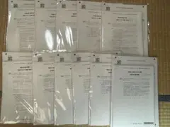 はや様 リクエスト 2点 まとめ商品