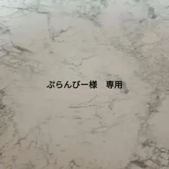 ぷらんびー様　専用