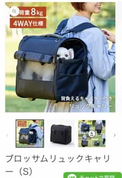 Item thumbnail for item 190fc949-2120-4b3c-a338-fe8a364af7f9