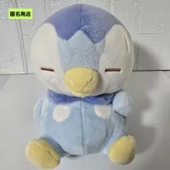 一番くじ ポケピース 〜PEACEな夜のひととき～ B賞 ポッチャマ ぬいぐるみ
