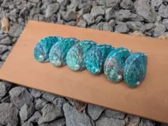 色出洗浄済あわび貝殻 6個セットA