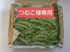 つむこ様専用予約販売　新鮮野菜セット