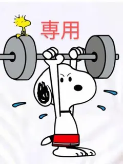 まいまい様　専用