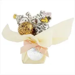 新品　SNOOPY バスフィズブーケ