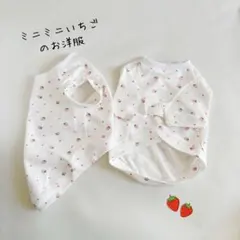 Item thumbnail for item 9959db7f-9f87-44c2-8502-9fb5905e1198