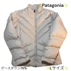 パタゴニア　レディース　ショート丈ダウンジャケットLサイズ