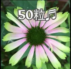 Item thumbnail for item e039a994-12e3-4936-80de-7e6cbec66e18