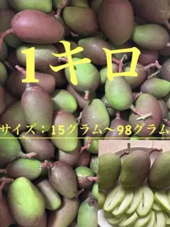 ミニ青マンゴー摘果マンゴー 1キロのサムネイル