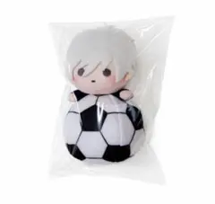 r*須様 ブルーロック　ぬいぐるみマスコット　凪誠志郎