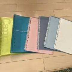 Item thumbnail for item 1c533b8e-0f1d-4e81-ae91-8fada95e467a