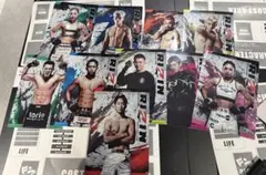 RIZIN.17パンフレット 全選手サイン入り - メルカリ