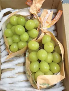 2026年最新】シャインマスカット kgの人気アイテム - メルカリ