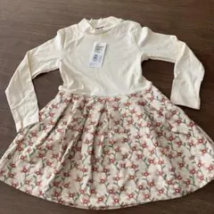 Item thumbnail for item 4656888c-7178-4919-a3bc-31d7666a5c3d