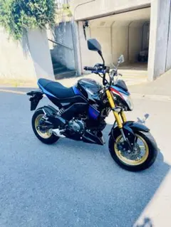 自賠責R11年 カワサキ Z125 PRO 社外マフラー・新品タイヤ 福井 - メルカリ