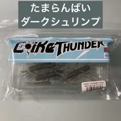 Item thumbnail for item b2716f90-e094-4786-87d5-be890d2b9631