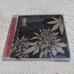 2026年最新】舐達麻 cdの人気アイテム - メルカリ